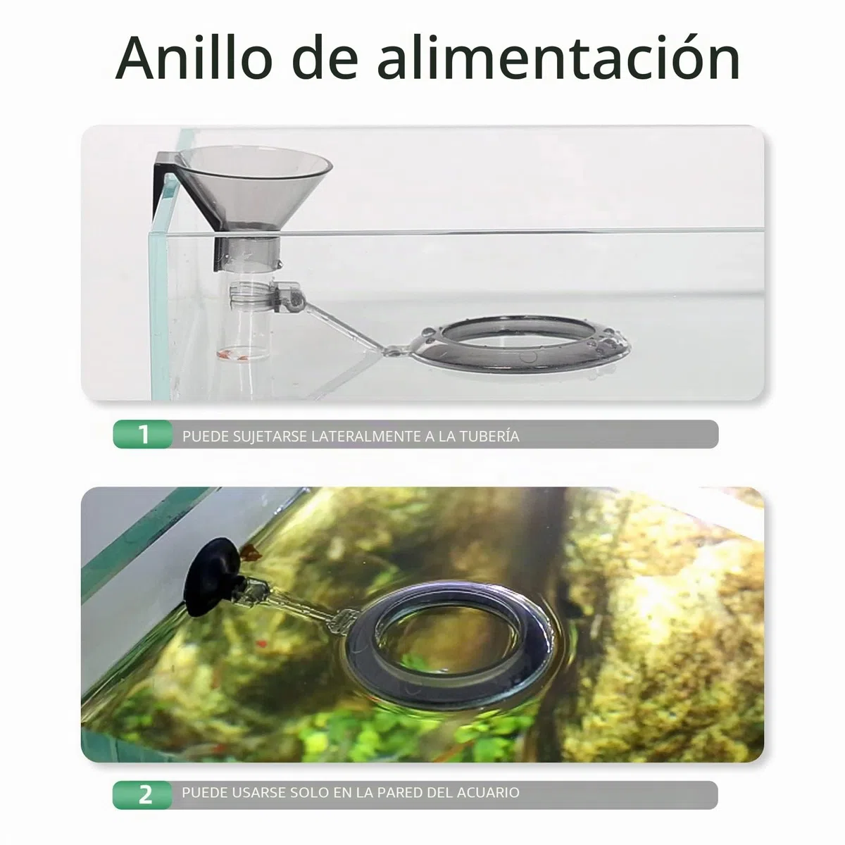 Juego de Platos de alimentación de camarones, Kit de Tubo de alimentación de Peces de Acuario Ajustable, Tubo de alimentación Transparente y Duradero con Anillo de alimentación, Cepillo de Limpieza