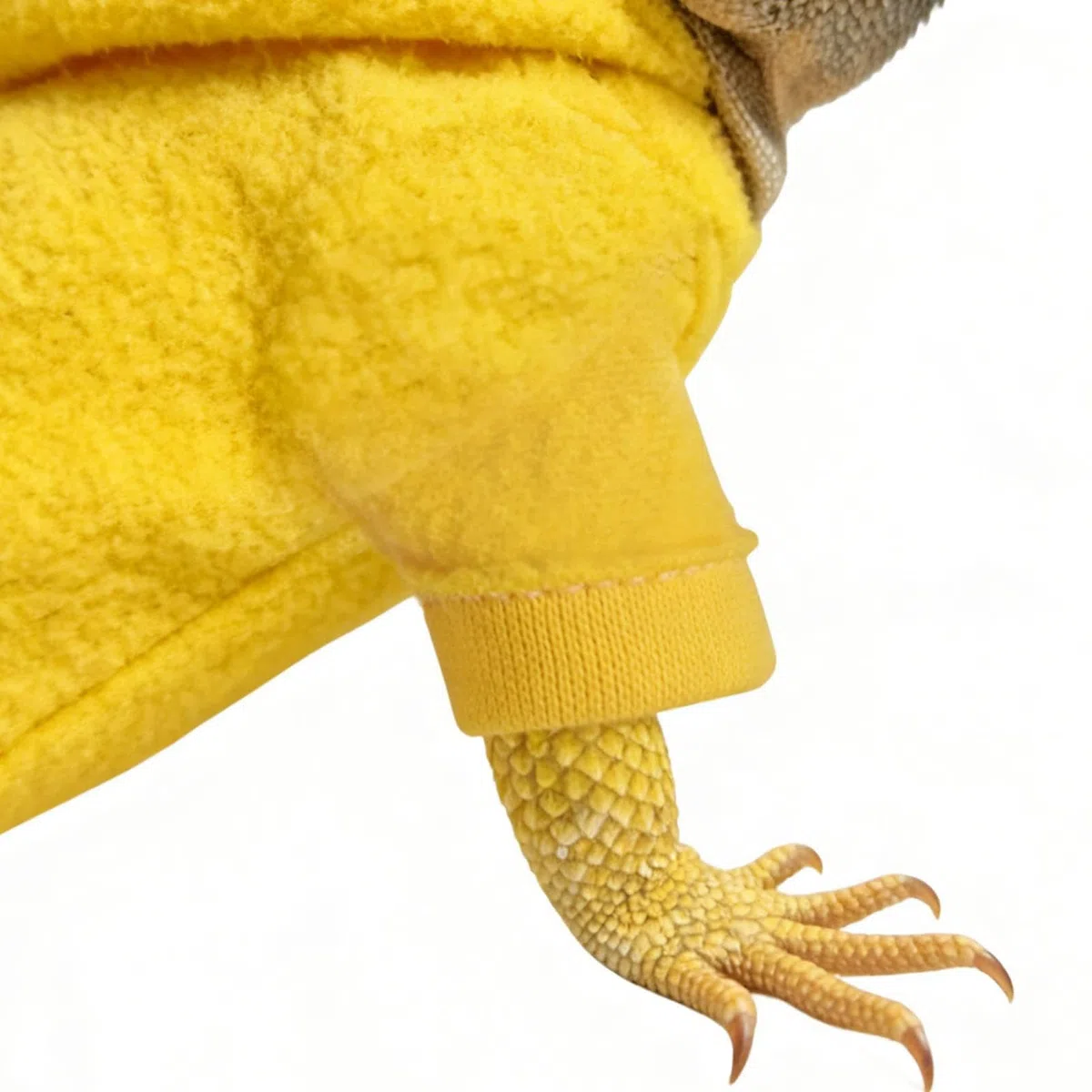 Disfraz para Gecko Leopardo | Prendas de Reptil Hechas a Mano,Abrigo Disfraz para Saurios y Lagartos - para Camaleones Geckos Iguanas y Otros Reptiles en Paseos al Aire Libre