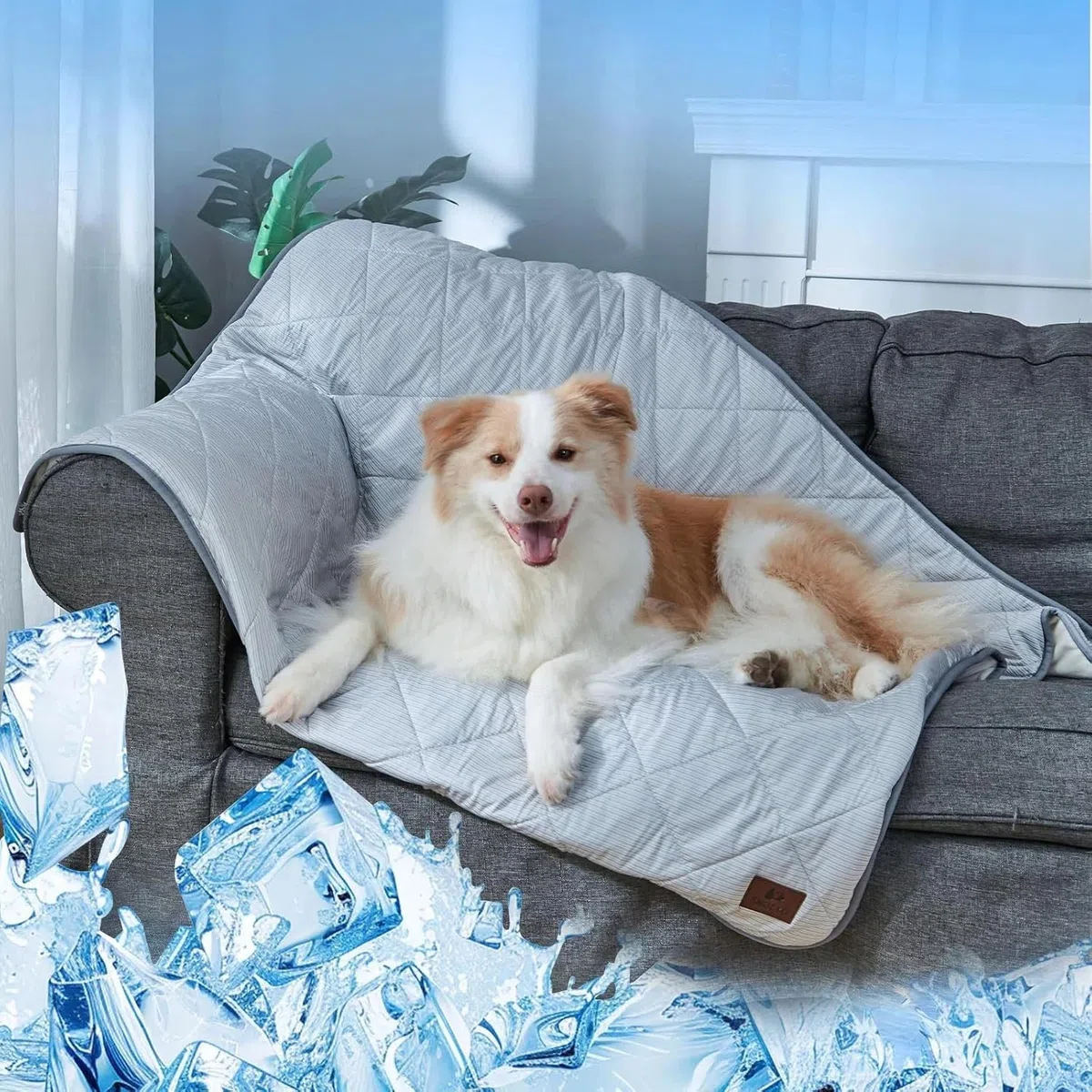Manta Enfriadora de Doble Cara para Perros: Fresca con Q-MAX>0.4 por un Lado y Suave por el Otro. Alfombra Refrescante Impermeable y Lavable para Sofá, 60x47 cm, Ideal para Mascotas Pequeñas.