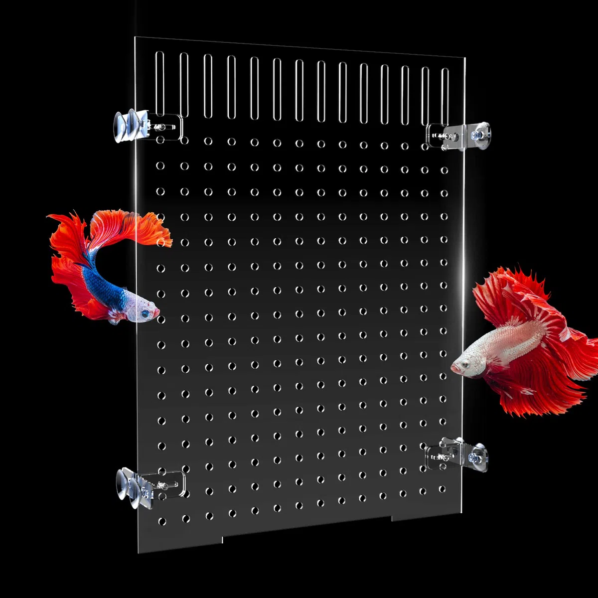 Cuyacili Separador de Aislamiento de Acuario Separador acrílico para peceras Separador Acuario Divisores Plato Transparente Separador de Pescado 30 * 40 cm